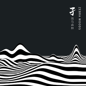 荒唐的山区TXT小说下载
