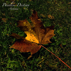 荒唐的山区TXT小说下载
